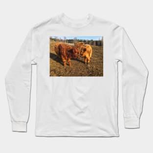 Scottish Highland Cattle Calves 1978 Long Sleeve T-Shirt